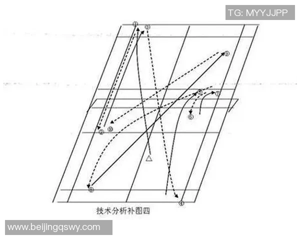 深圳篮球队的节奏分析与战术探讨聚焦球队发展与未来展望