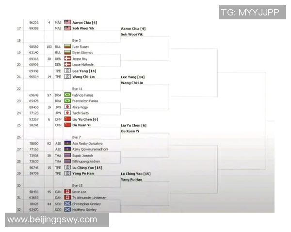 上海羽毛球队在世锦赛中的技术表现分析与未来发展展望
