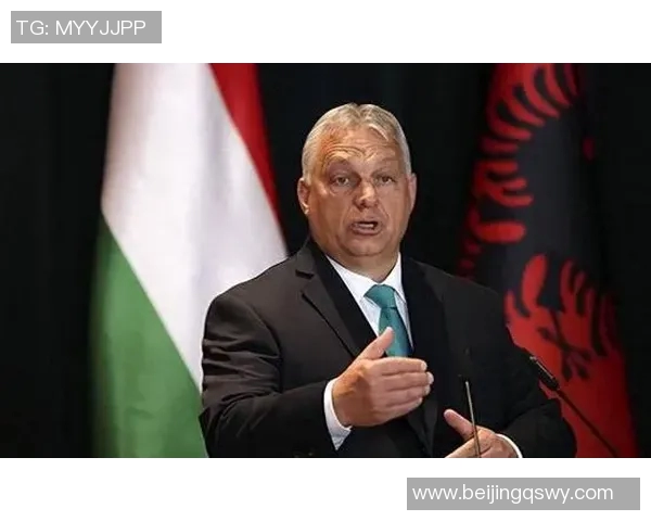 专访杨敏：探寻篮球领域成功的秘诀与心路历程