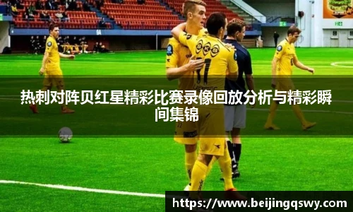 热刺对阵贝红星精彩比赛录像回放分析与精彩瞬间集锦